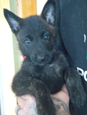 ALIXIA collier rouge